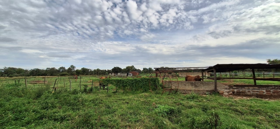 2 Bedroom Property for Sale in Koster North West